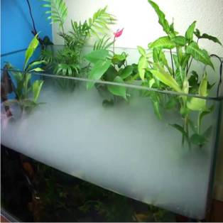 Генератор холодного тумана для аквариума